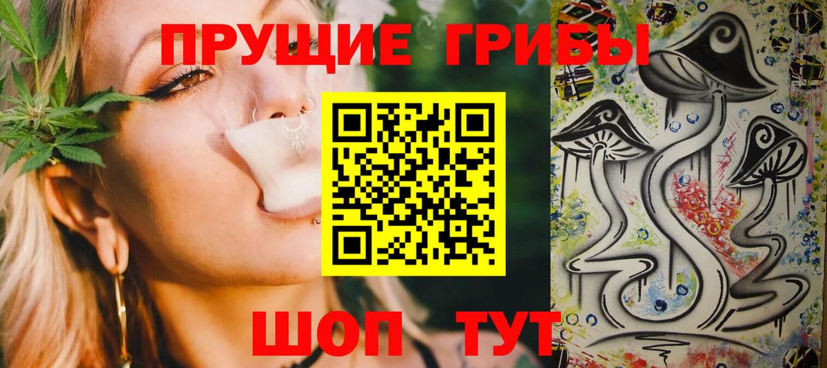 Галлюциногенные грибы MAGIC MUSHROOMS  Псилоцибиновые грибы Psilocybe  Новокуйбышевск  Вход с VPN 